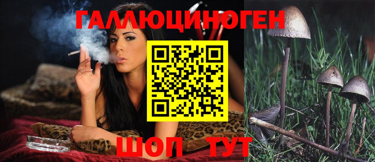 Псилоцибиновые грибы GOLDEN TEACHER  Жигулёвск 