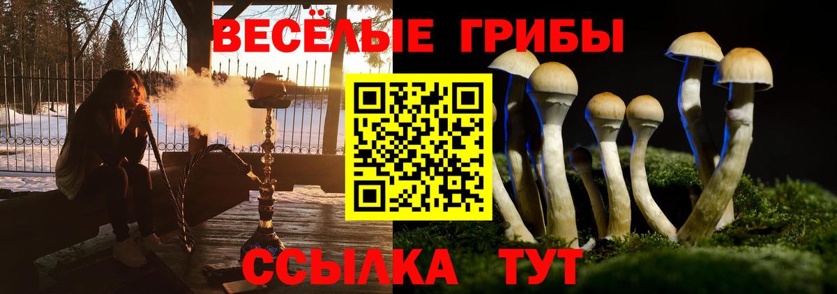 Галлюциногенные грибы Psilocybine cubensis  Псилоцибиновые грибы Magic Shrooms  Вход с VPN  Жигулёвск 